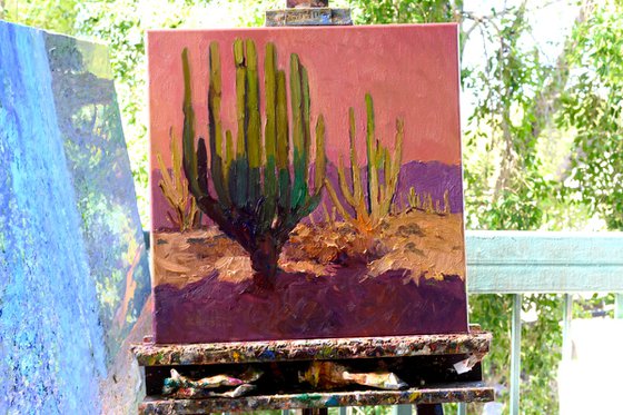 After the Heat. Dasert Evening