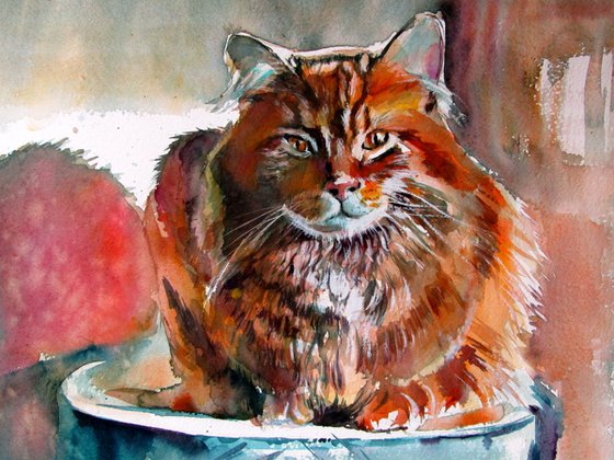 Cat resting at light