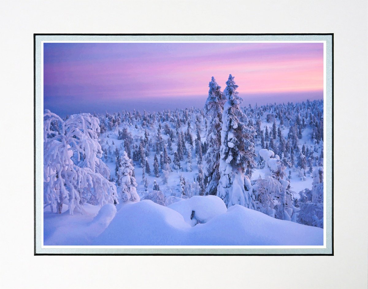 Photorealistic Landscape Photograph By Robin Clarke, 14 X 11", Finland Snow Forest Nine, Original Artwork