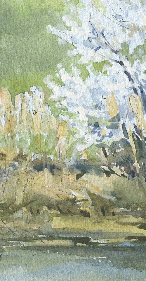 Spring again. Near a pond / Original watercolor sketch. Small picture. Landscape painting by Olha Malko