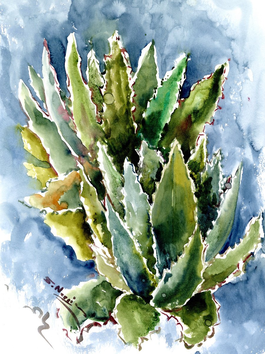 Agave by Suren Nersisyan