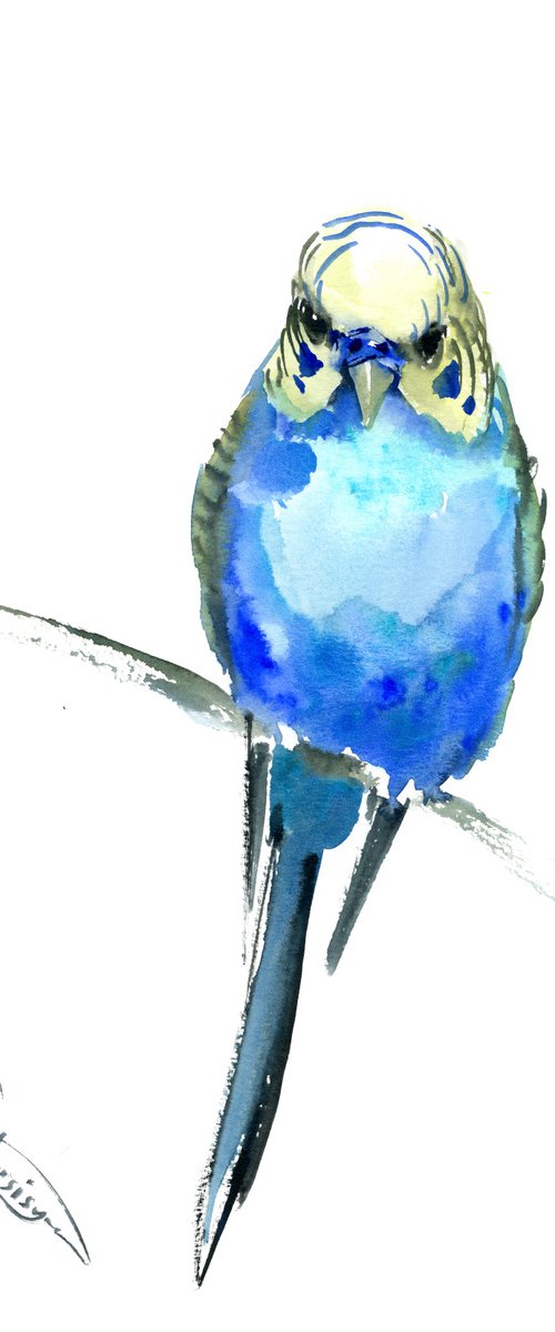 Budgie, parrot painting by Suren Nersisyan