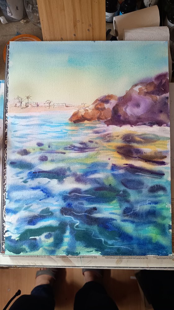 Rocky coast