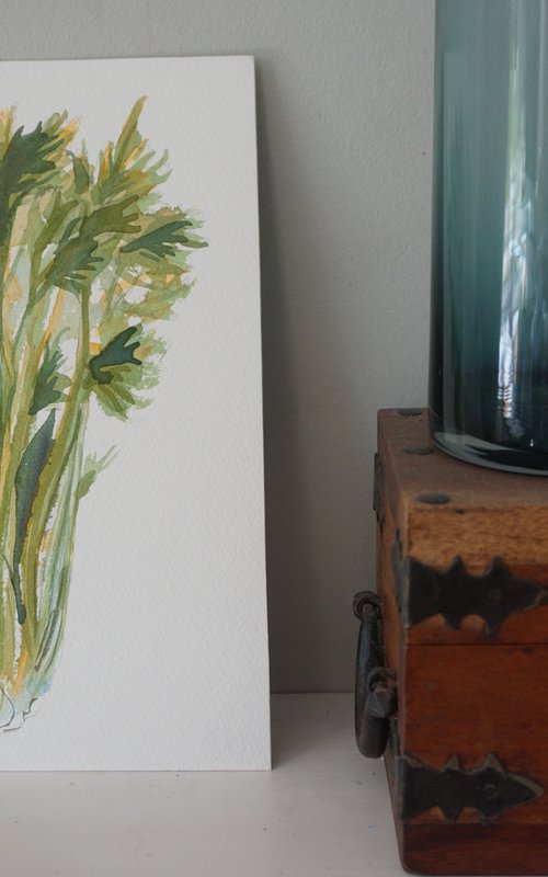 Celery watercolour study by Hannah Clark