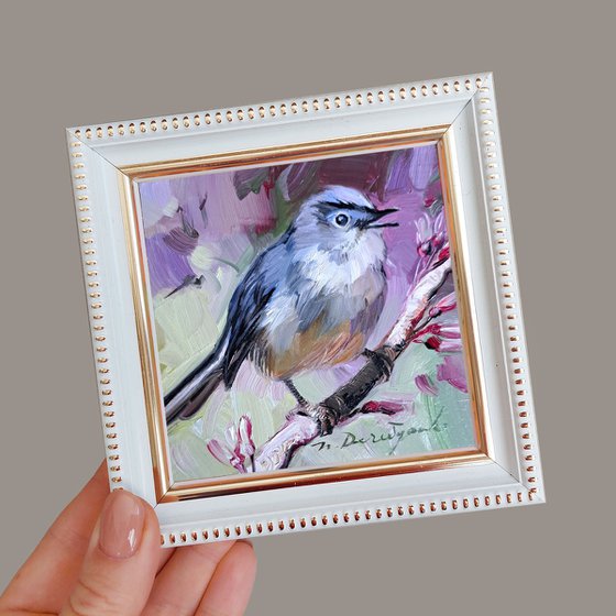 Gnatcatcher bird