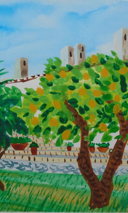 Lemon tree in Spanish Garden by Kirsty Wain