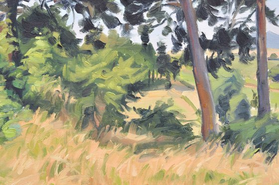 Summer light, Velay Mountains