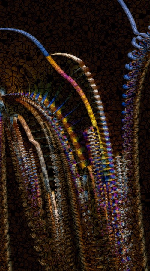 Medusas 2 by Javier Diaz