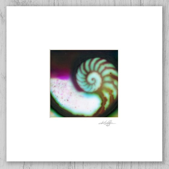 Matted Nautilus Shell 10 - Painting by Kathy Morton Stanion