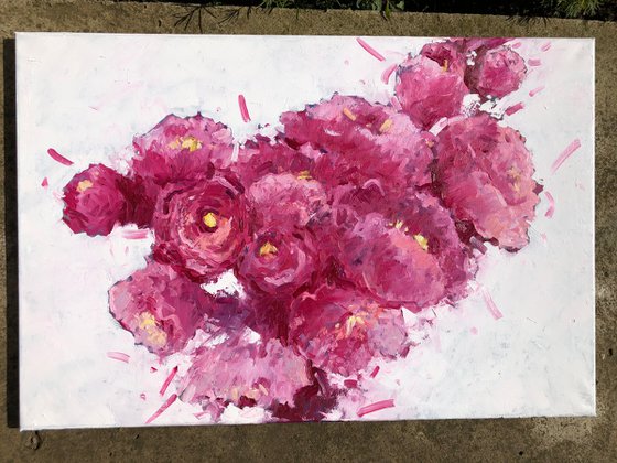 May peonies