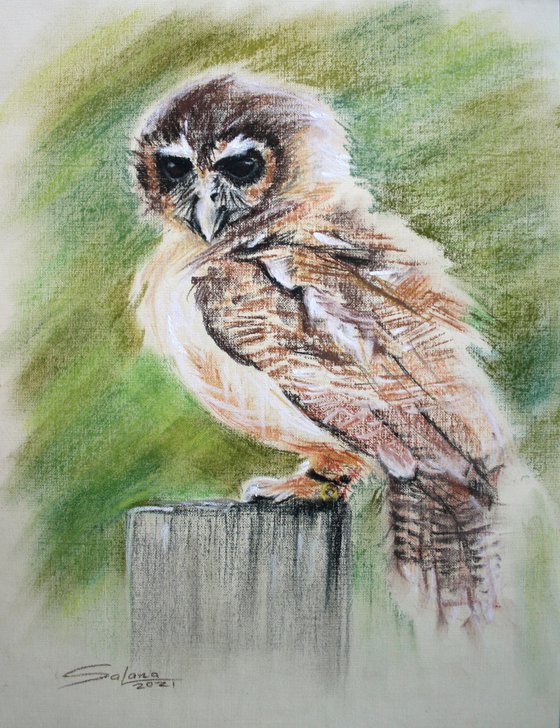 Owl I / From my a series of BIRDS / ORIGINAL PAINTING