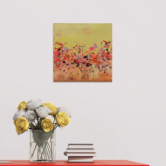 Sunkist Coral 1