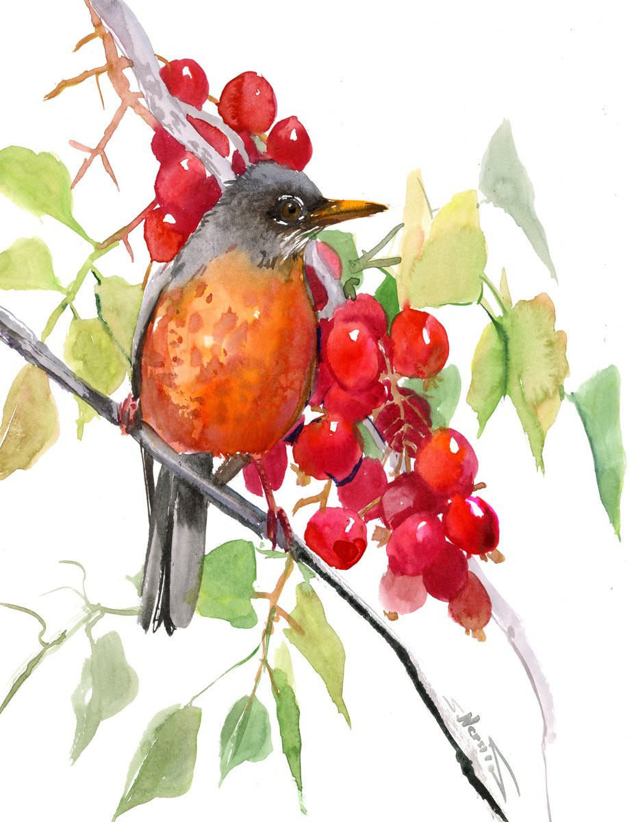 American Robin Bird and berries by Suren Nersisyan