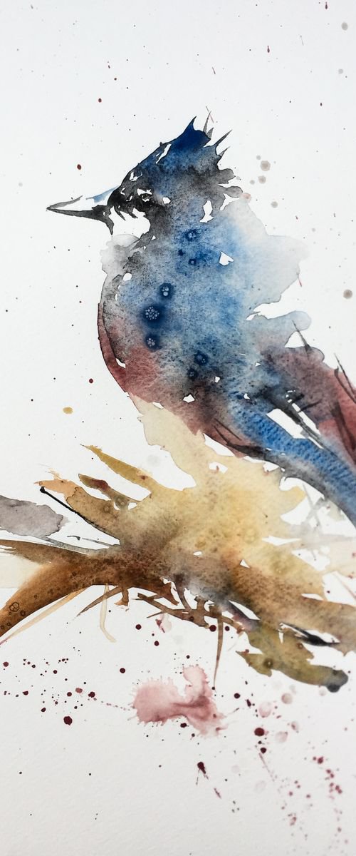 Woodpecker on the outside by Victor de Melo