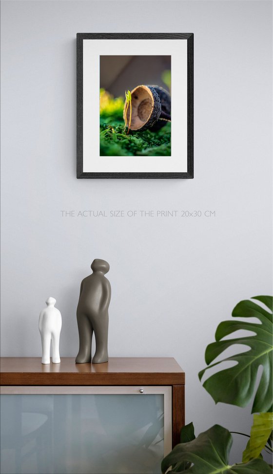 Mossy Love Story - matted