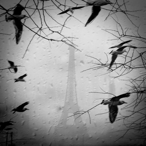 Autumn in Paris by Carmelita Iezzi