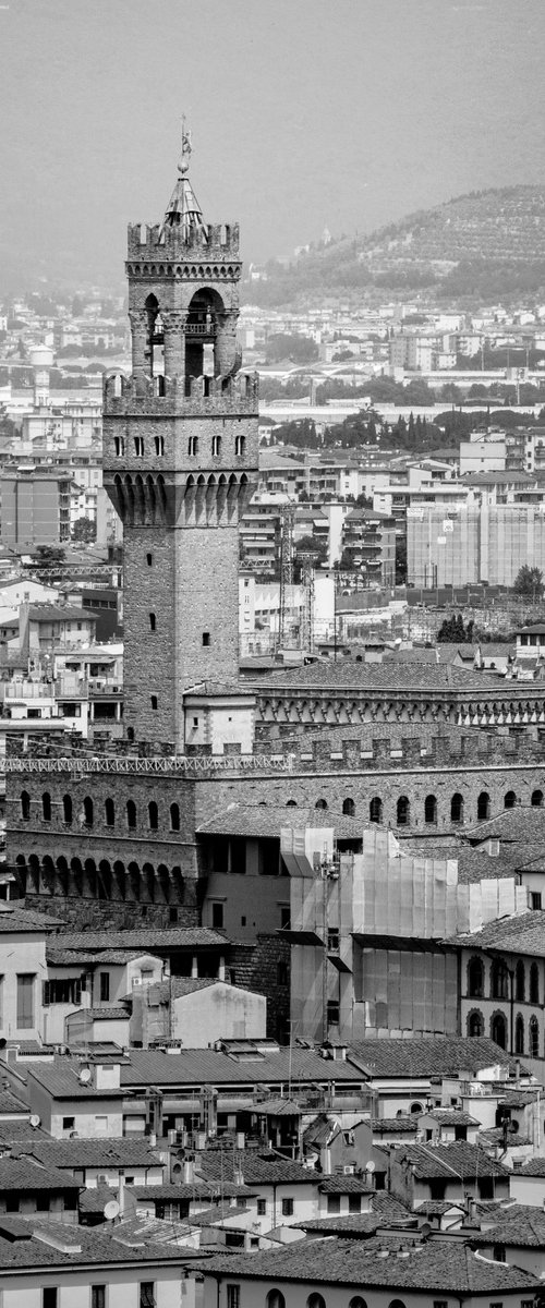 NT#88 Florence panorama and nature II by Mattia Paoli