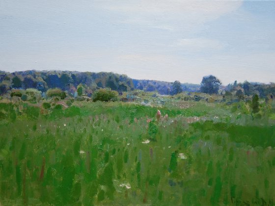 In the meadow