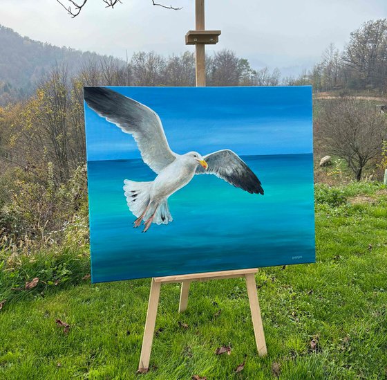 "Seagull"