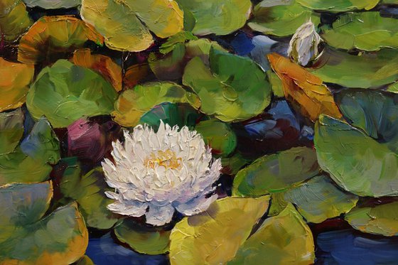 "The Silence of the Water Lilies"