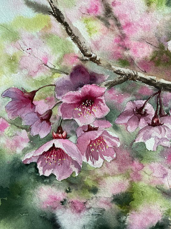 Sacura branched, pink flowers