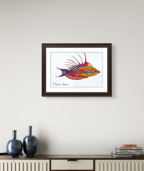 Exotic Colorful fish