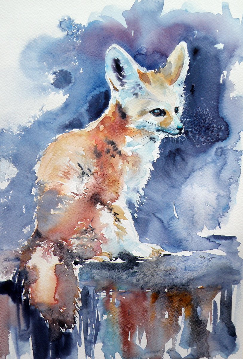 Desert fox by Kovacs Anna Brigitta
