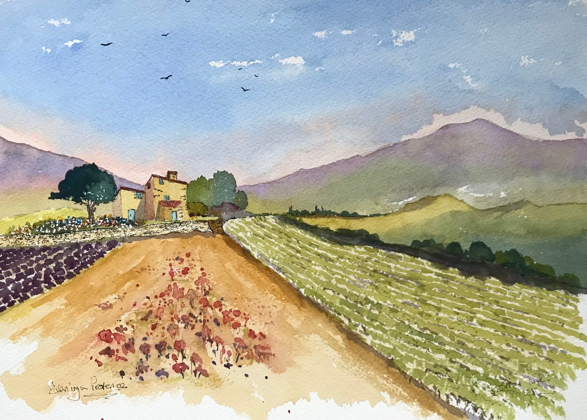 Impressionistic Landscape Watercolour By Brian Tucker, 14 X 10, Lavender In Provence 4, Original Artwork