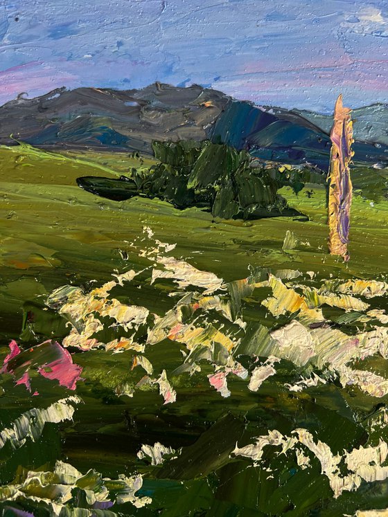Flowering Mountain Fields