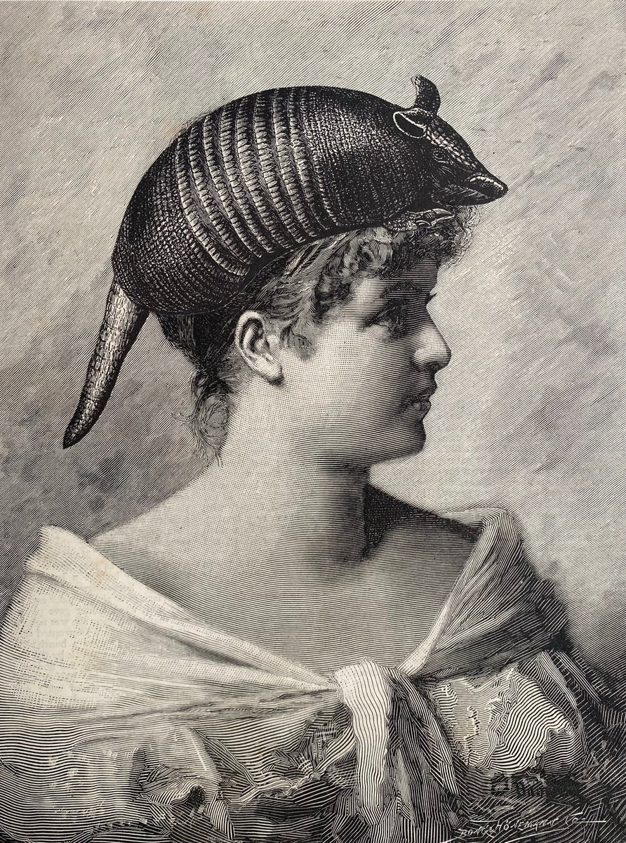 Surrealistic Portrait Collage By Tudor Evans, 6 X 8", Enjoying Her Armadillo, Original Artwork