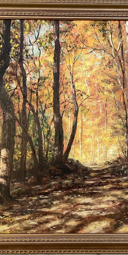 OCTOBER WOODS (SOLD) by Kathleen McDermott