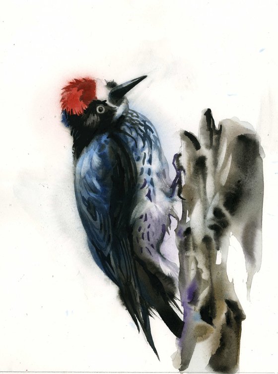 red headed wookpecker