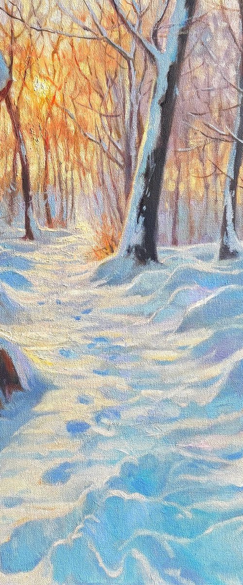 Frozen Sun by Emily Lane