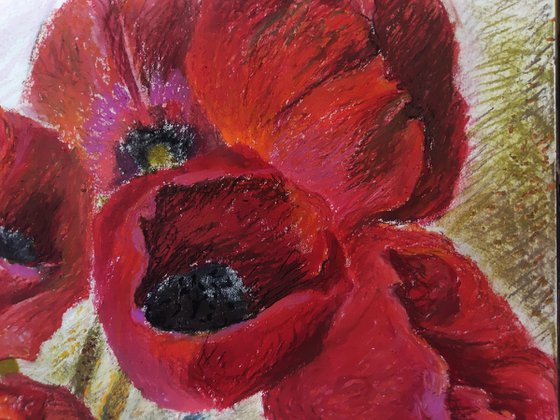 Red poppies
