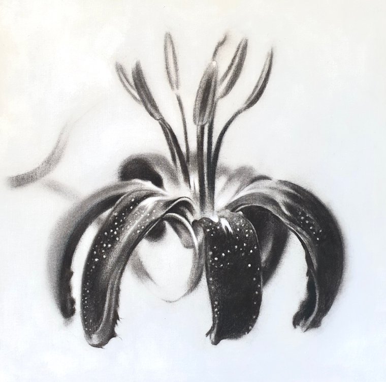 Black flowers abstract Charcoal art Drawing by Prajakta P - Pixels