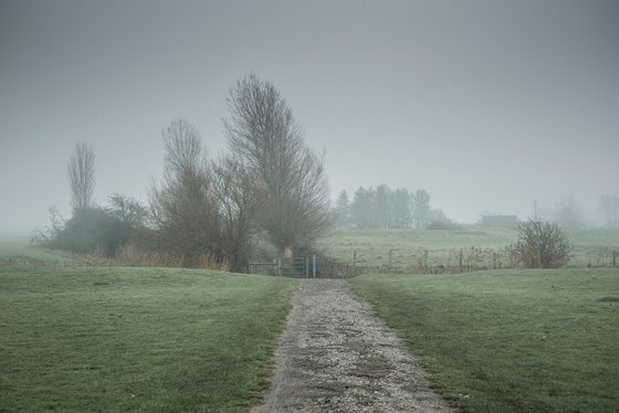 Sheep Field