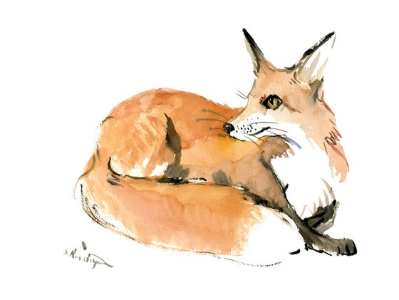 Red Fox