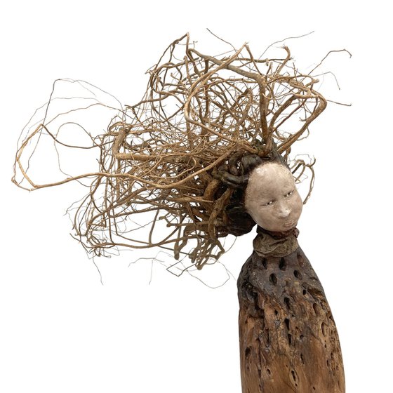 Dryad, Ostréïdes series