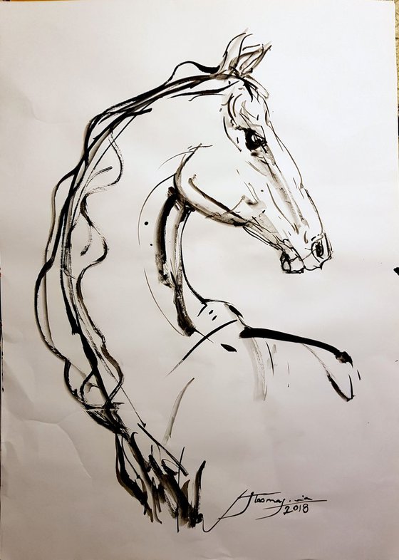 Horse 3