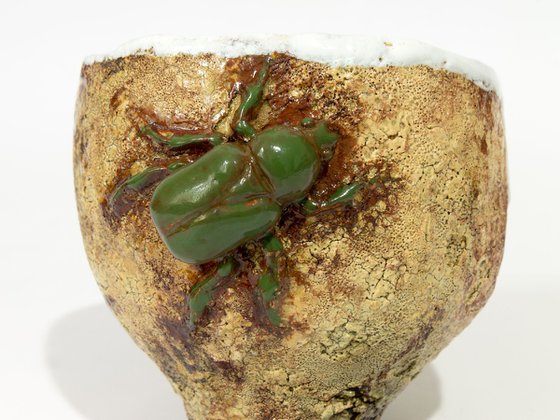 Beetle