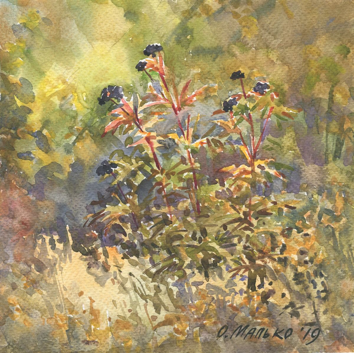 Elderberry / Watercolor study Autumn palette Wild grasses by Olha Malko