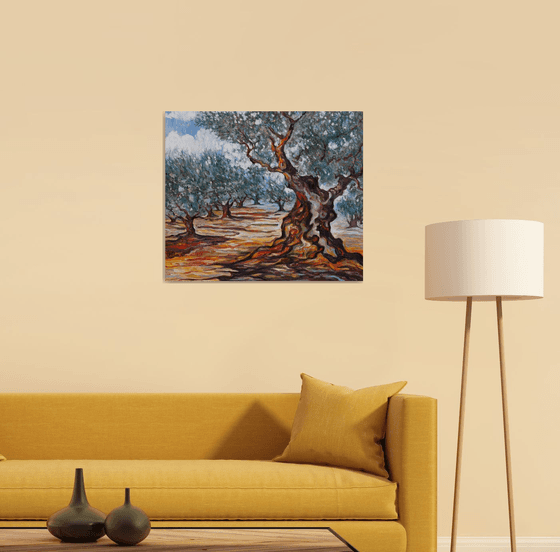 Olive Grove