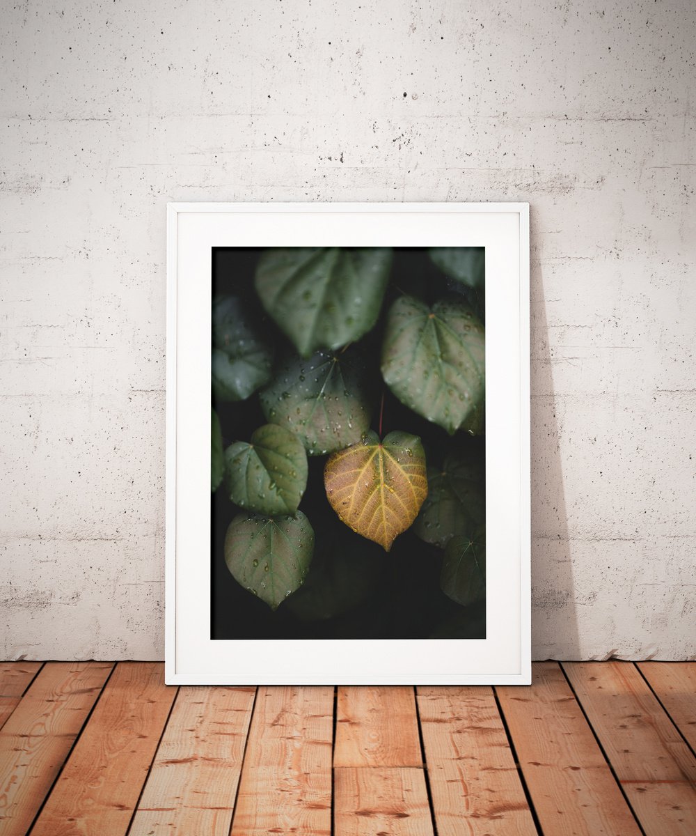 Winter leaves II | Limited Edition Fine Art Print 1 of 10 | 50 x 75 cm
