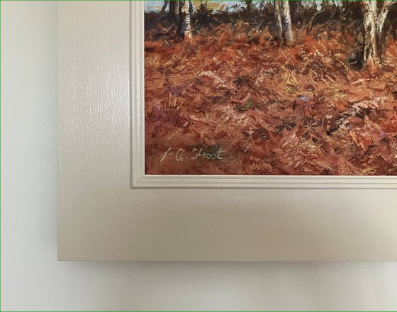 Fallow Deer Under Birch Trees