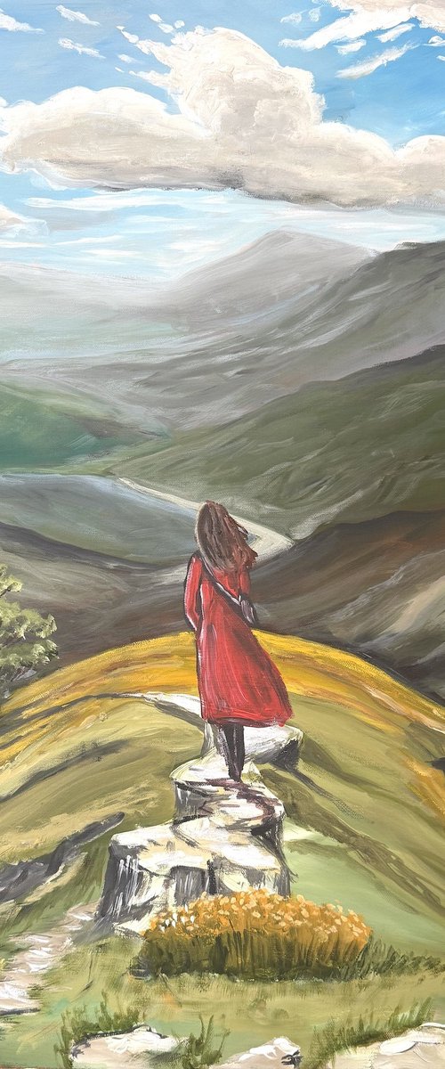 Reaching The Summit by Aisha Haider
