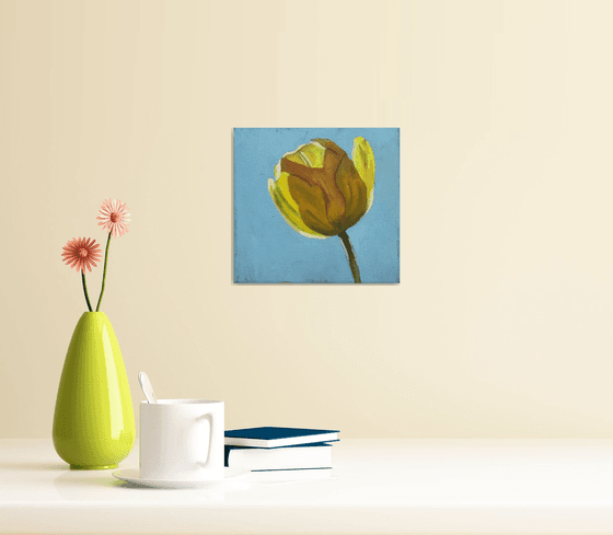 Yellow tulip