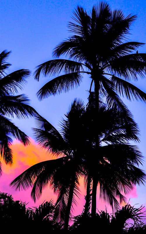 Tropical Palms, Barbados by Georgia Fitzgerald