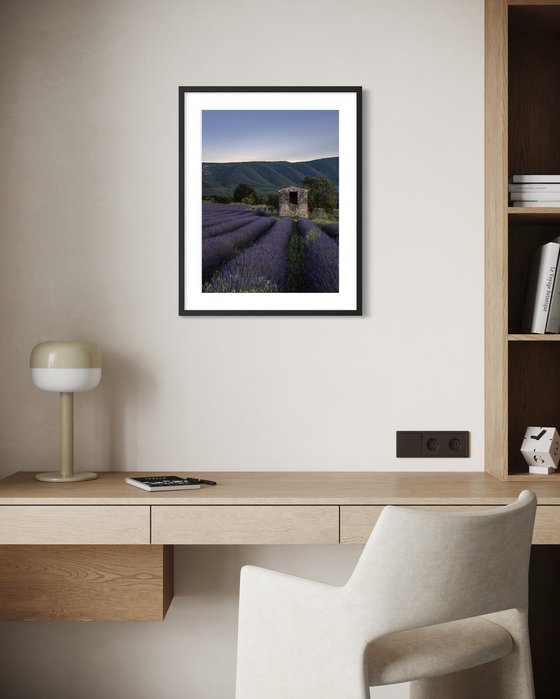 THE SUNSET OF PROVENCE