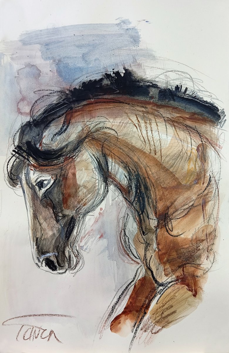 Impressionistic Watercolour , Caballo, 2-2025 (Study) By Catalin Ilinca, 13 X 20, Artwork For Sale On Artfinder