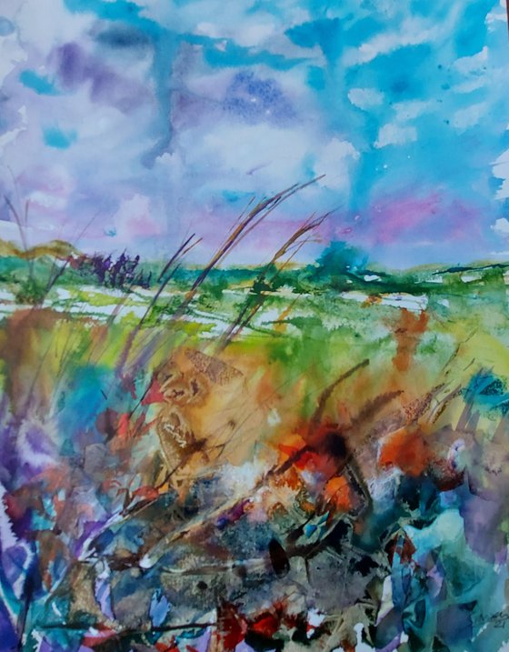 West Cork landscape